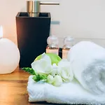 Apartment Scandinavian Style Of Lux In